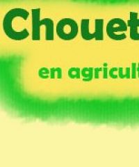 La Chouette &  Co