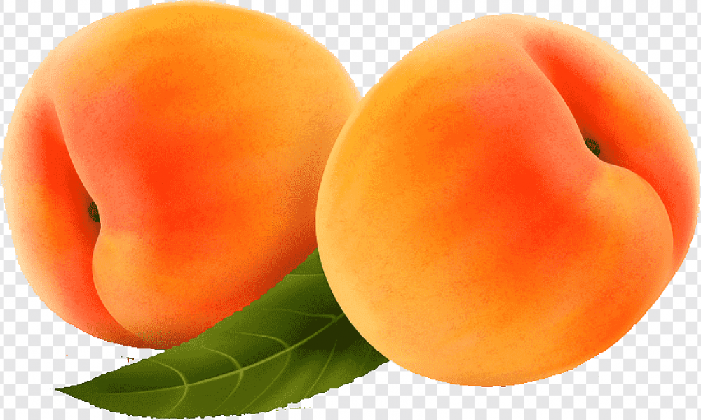 Des fruits d’été cueillis et consommés à maturité