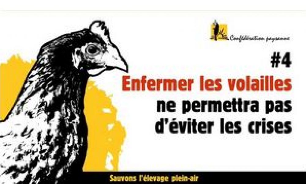 Grippe aviaire : le bien être animal bat de l’aile !