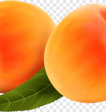 Des fruits d’été cueillis et consommés à maturité