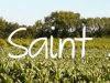 AMAP de Saint Joseph