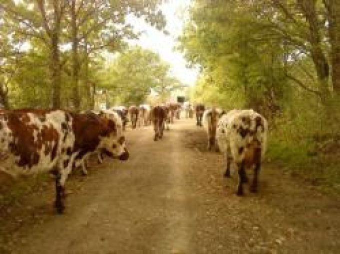 FERME de Rublé
