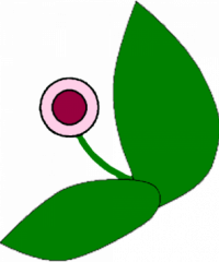 AMAP de Couëron