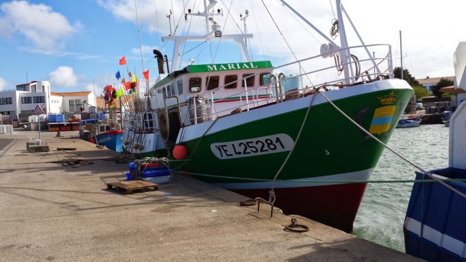 AMAP Poissons Hippodrome