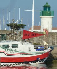 AMAP Poisson Aigrefeuille