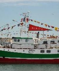 AMAP Poisson du Vignoble