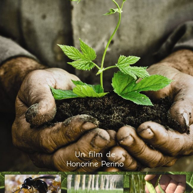 Une Terre et des Blés