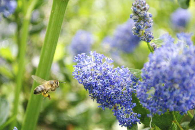La Toute Petite Ferme
