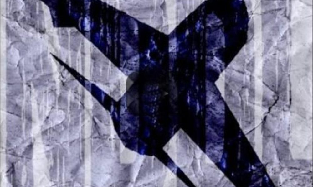 Notre-Dame des oiseaux de fer