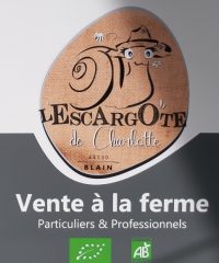 L’escargote de Charlotte