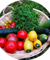 Thom Pouss – Légumes BIO