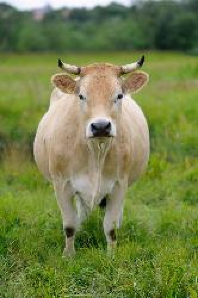 GAEC la ferme des 9 journaux