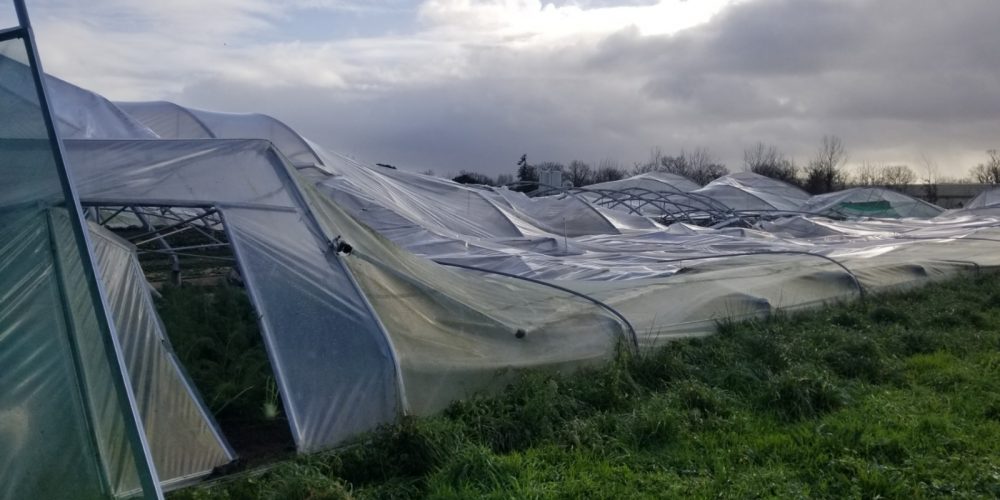 Tornade: cagnotte de solidarité