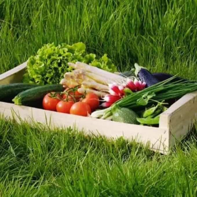 AMAP de l&rsquo;Eraudière