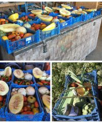 AMAP de Saint-Brévin