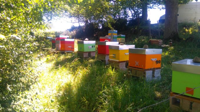 Ferme du Chat qui Danse