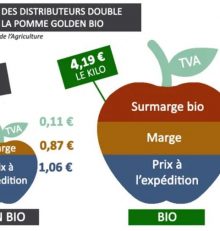Rejoignez l’AMAP près de chez vous