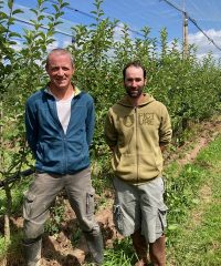 Le verger de la petite rainette