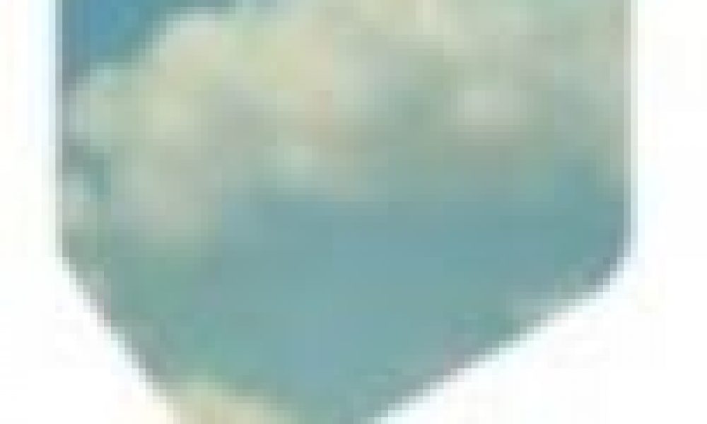 les AMAP(s) sont une solution pour la Convention citoyenne de Nantes.