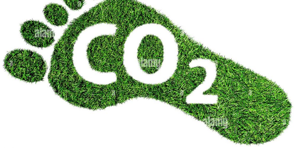 Projet d’empreinte Carbone en AMAP