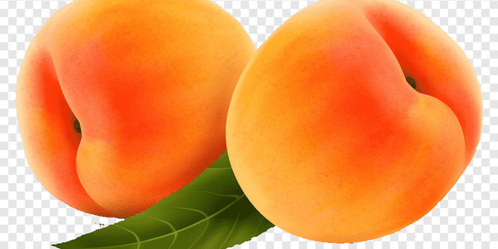 Des fruits d’été cueillis et consommés à maturité