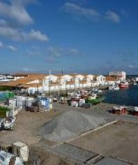 AMAP poissons de Ste Pazanne