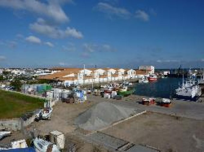 AMAP poissons de Ste Pazanne