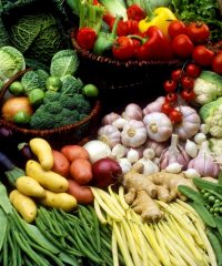 Gaec du coteau de chotard