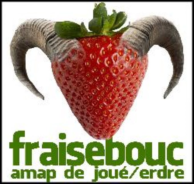 AMAP Fraise.bouc