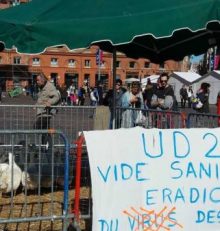 Paysan bio impacté par la grippe aviaire