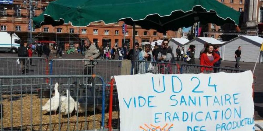 Paysan bio impacté par la grippe aviaire