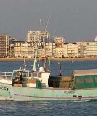 AMAP poisson Erdre & Loire