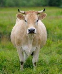 GAEC la ferme des 9 journaux