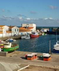 AMAP Poissons St Herblain Bourg – St Herblain Tillay – Couëron – Petit Breton