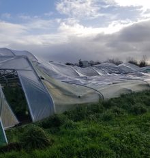 Tornade: cagnotte de solidarité