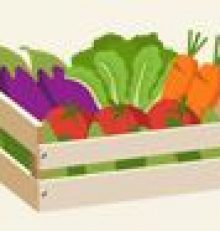 Nouvelles règles pour les paysans avec la plateforme numérique « Cagette »