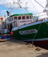 AMAP Poissons Hippodrome