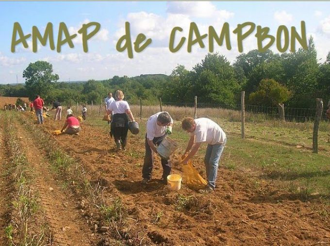 AMAP de Campbon