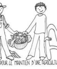 AMAP  de Nort sur Erdre