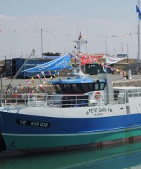 AMAP Poisson Chateaubriant