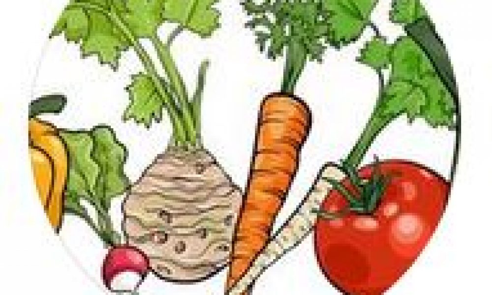 Projet de conserverie de légumes en contrat AMAP