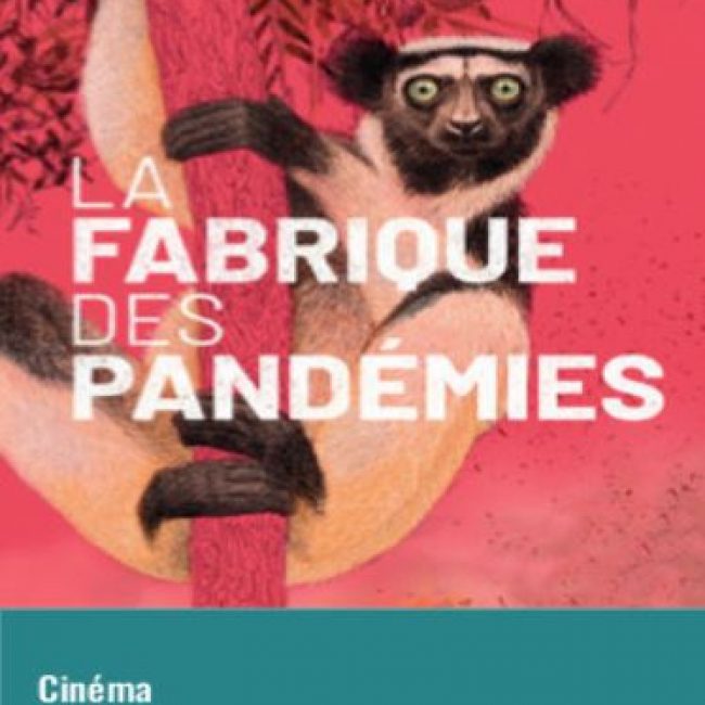 La fabrique des pandémies