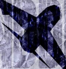 Notre-Dame des oiseaux de fer