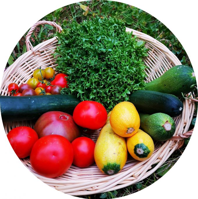 Thom Pouss – Légumes BIO