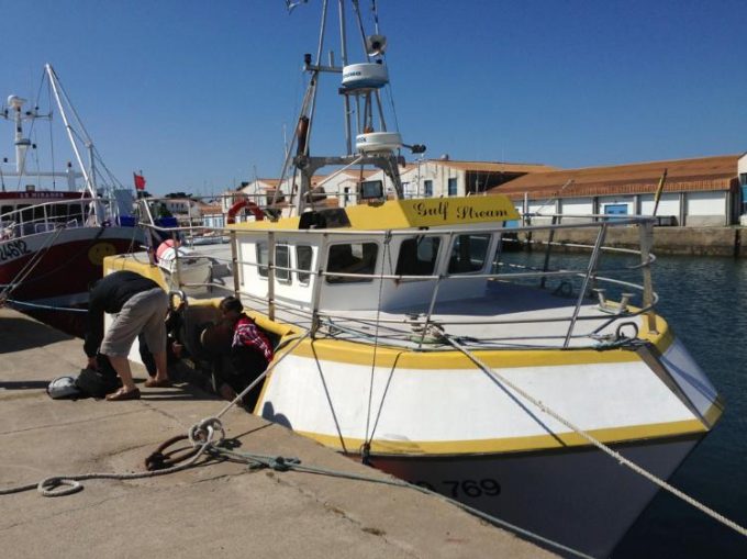 AMAP Poisson de Bouvron