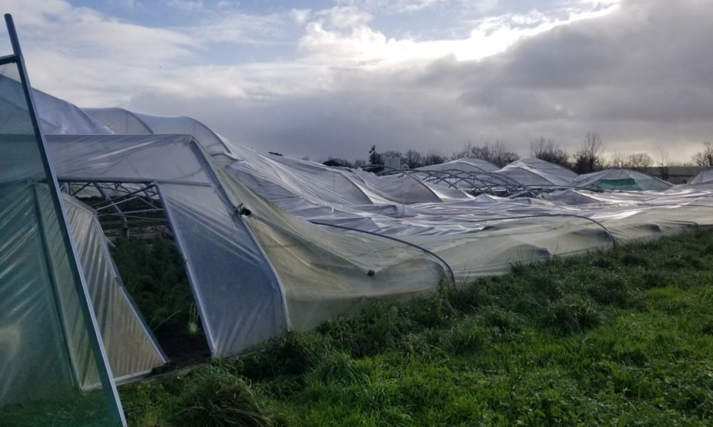 Tornade: cagnotte de solidarité