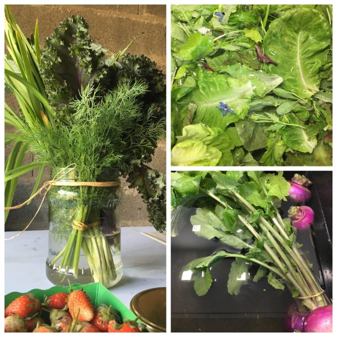 Quelques primeurs et aromatiques