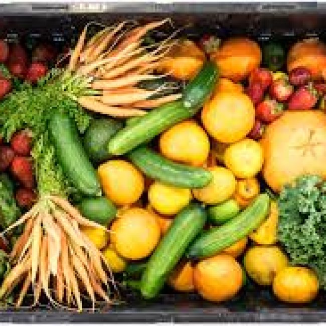 AMAP Port Boyer: Reprise de la saison 2019-2020