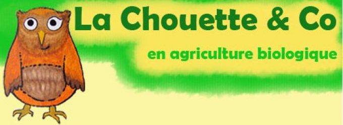 La Chouette &  Co