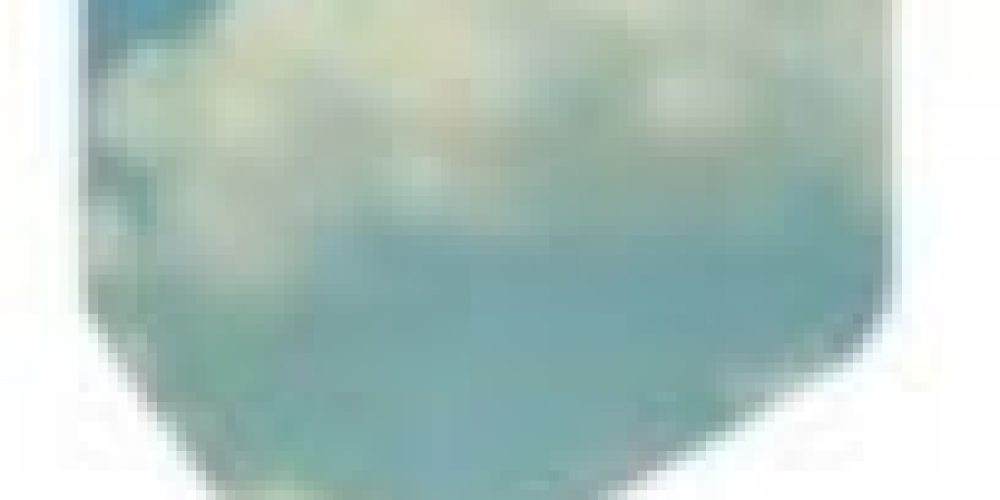 les AMAP(s) sont une solution pour la Convention citoyenne de Nantes.